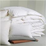 sferra arcadia euro pillow