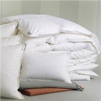 Arcadia pillows Sferra