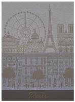 paris panorama Towel