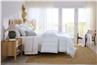 Kricia bed linens by SFERRA